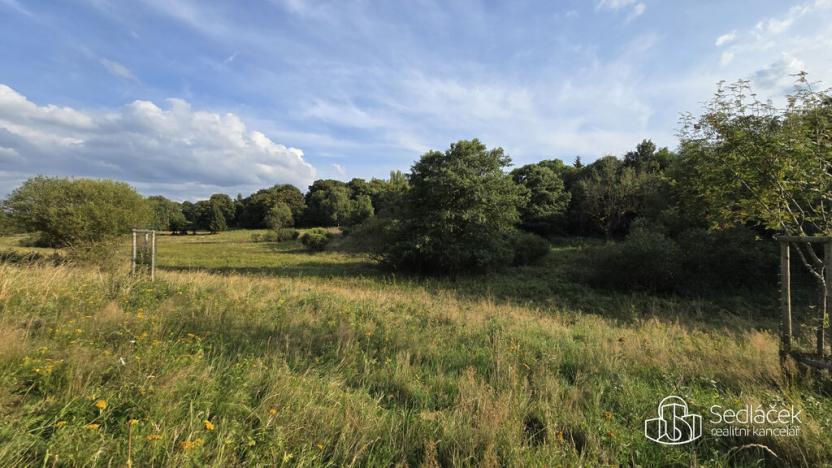 Prodej pozemku, Rovná, 8130 m2