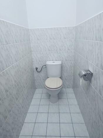 Prodej bytu 4+1, Pardubice - Zelené Předměstí, Sokolovská, 113 m2