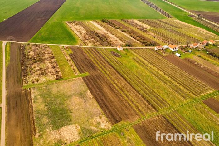 Prodej pozemku pro bydlení, Moravský Žižkov, 2723 m2