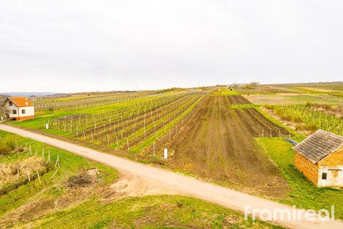 Prodej pozemku pro bydlení, Moravský Žižkov, 2723 m2