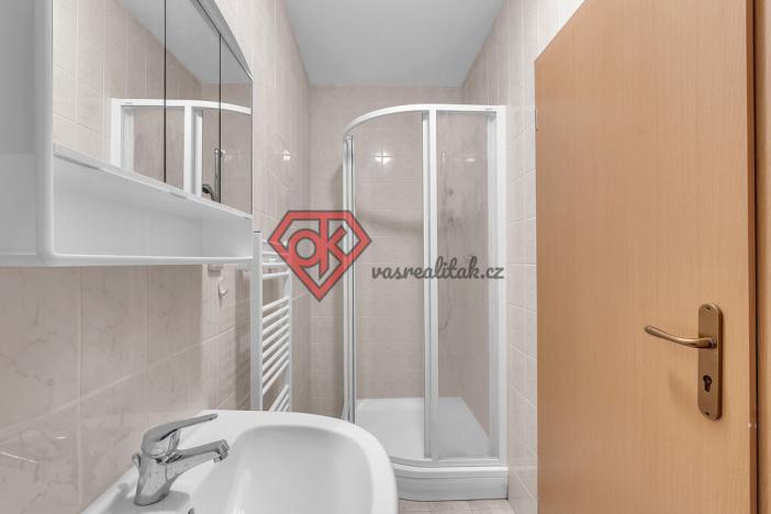 Prodej rodinného domu, Mikulovice, Dlouhá, 349 m2