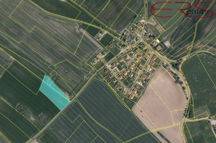 Prodej pole, Ptýrov, 55326 m2