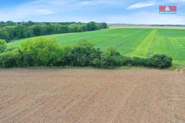 Prodej lesa, Velké Všelisy, 1302 m2