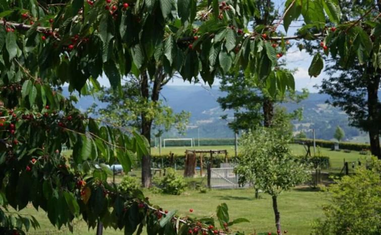 Pronájem bytu 5+kk, Vysoké nad Jizerou, 165 m2