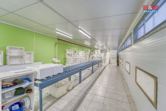 Prodej skladu, Lhůta, 1220 m2