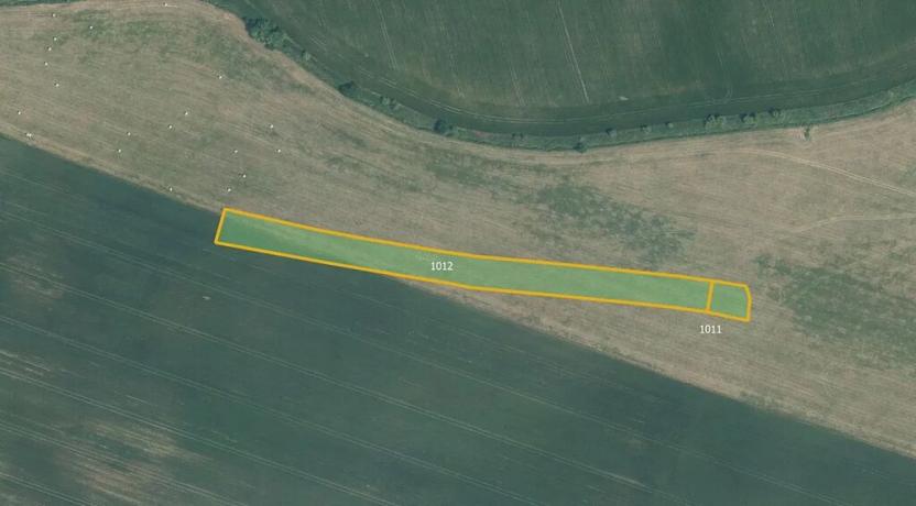 Prodej podílu pole, Opatovice, 15826 m2