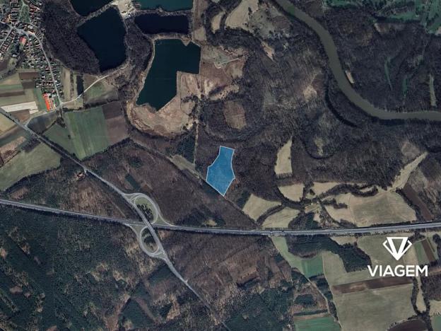 Prodej podílu lesa, Poděbrady, 2631 m2