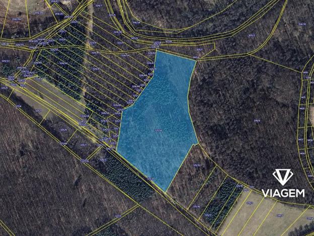 Prodej podílu lesa, Poděbrady, 2631 m2