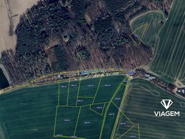 Prodej lesa, Bystřice, 488 m2