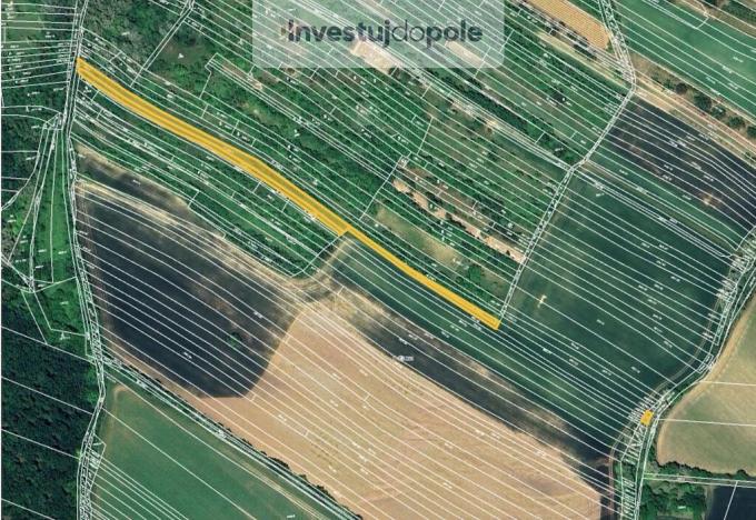 Prodej louky, Klobouky u Brna, 3740 m2