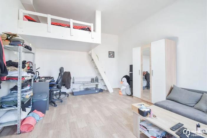 Prodej bytu 1+1, Olomouc, Na hrázi, 39 m2