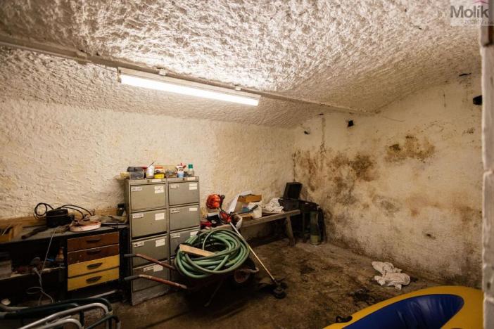 Prodej zemědělské usedlosti, Žihle - Kalec, 200 m2