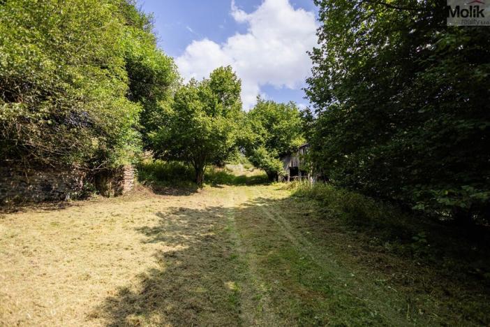 Prodej zemědělské usedlosti, Žihle - Kalec, 200 m2