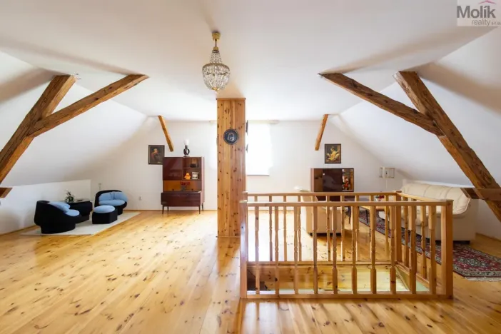 Prodej zemědělské usedlosti, Žihle - Kalec, 700 m2