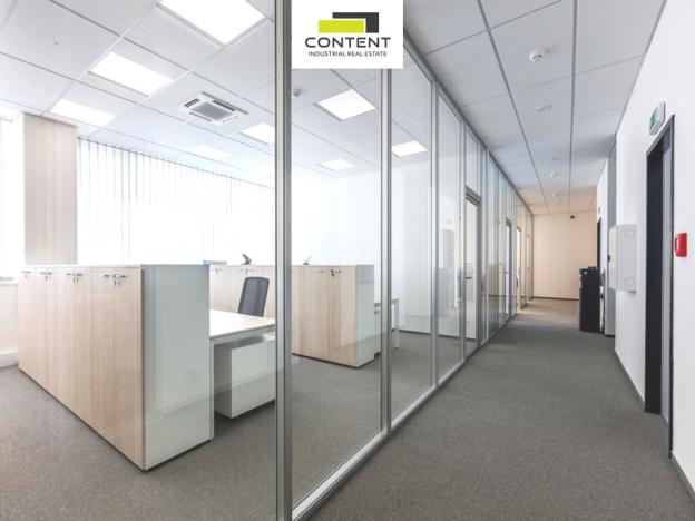 Pronájem výrobních prostor, Krupka, Eduarda Proppera, 5493 m2