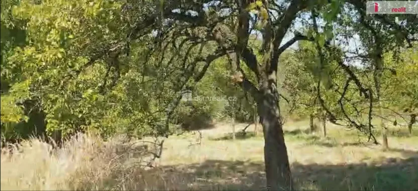 Prodej zahrady, Hranice - Hranice IV-Drahotuše, 1141 m2