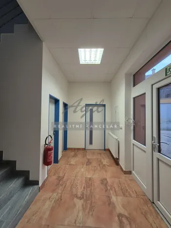 Pronájem kanceláře, Šlapanice, 293 m2