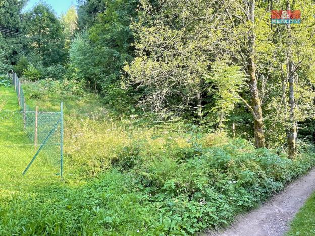 Prodej zahrady, Borová, 594 m2