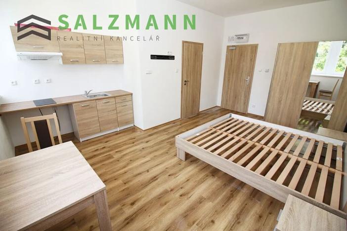 Prodej bytu 1+kk, Bublava, 24 m2