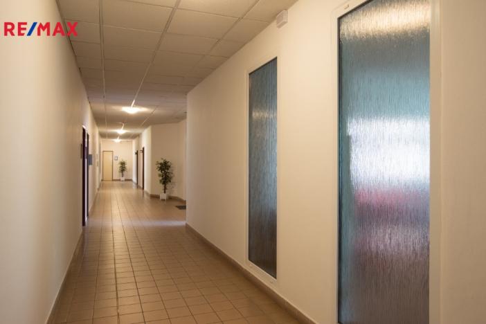 Pronájem kanceláře, Hradec Králové - Slezské Předměstí, Bieblova, 35 m2