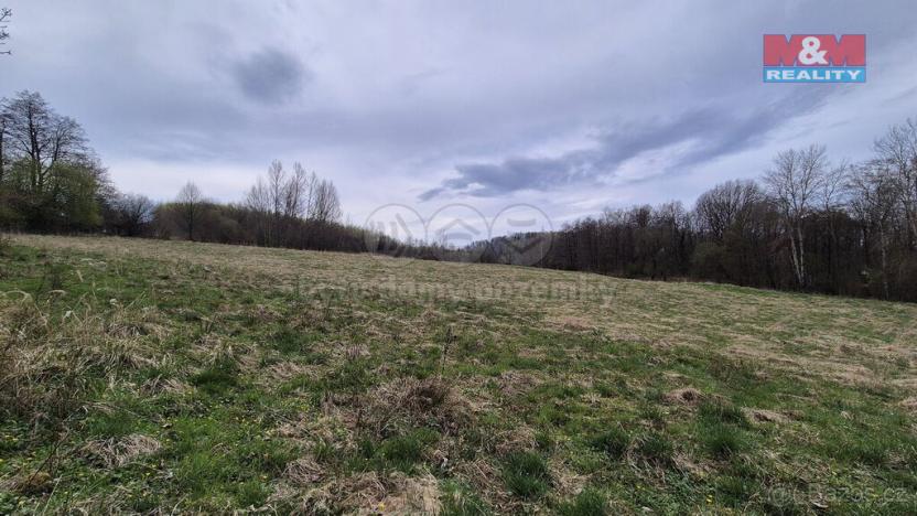 Prodej louky, Česká Kamenice - Dolní Kamenice, 22628 m2