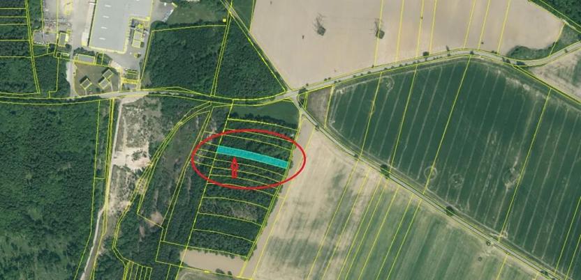 Prodej lesa, Dříteň, 4375 m2