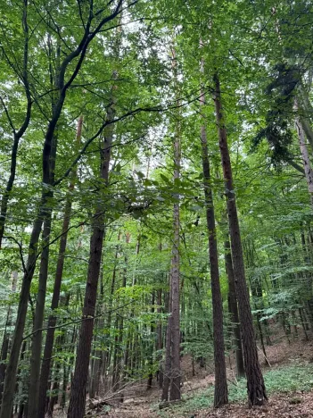 Prodej pozemku, Bohutín, 50672 m2