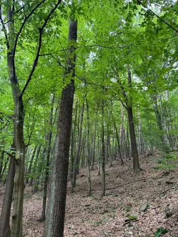 Prodej pozemku, Bohutín, 50672 m2