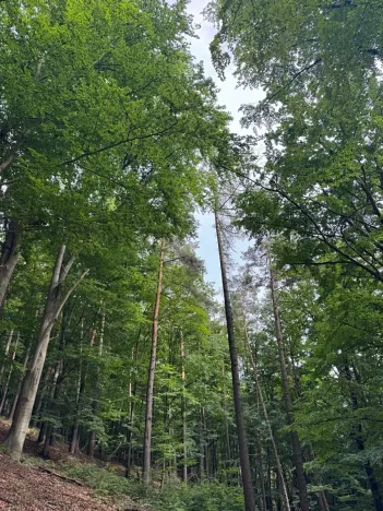 Prodej pozemku, Bohutín, 50672 m2