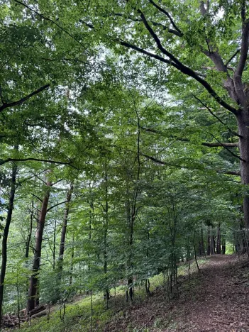 Prodej pozemku, Bohutín, 50672 m2