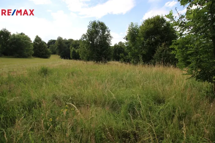 Prodej louky, Frýdlant, 25331 m2