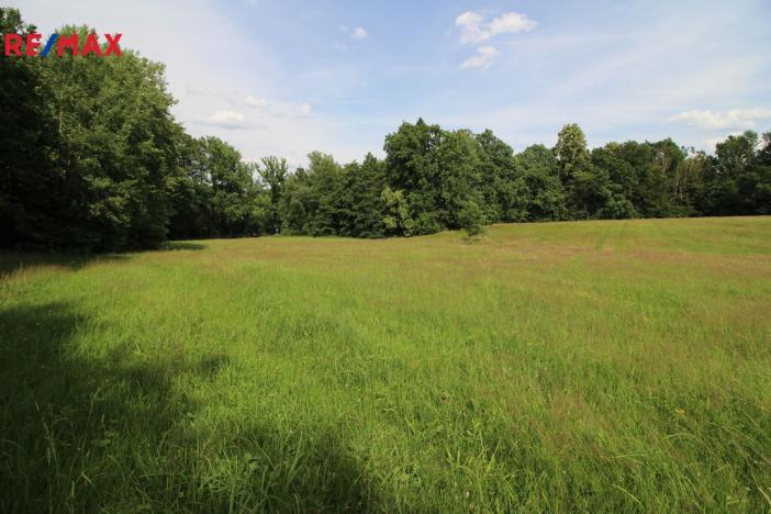 Prodej louky, Frýdlant, 48192 m2