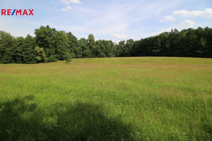 Prodej louky, Frýdlant, 48192 m2