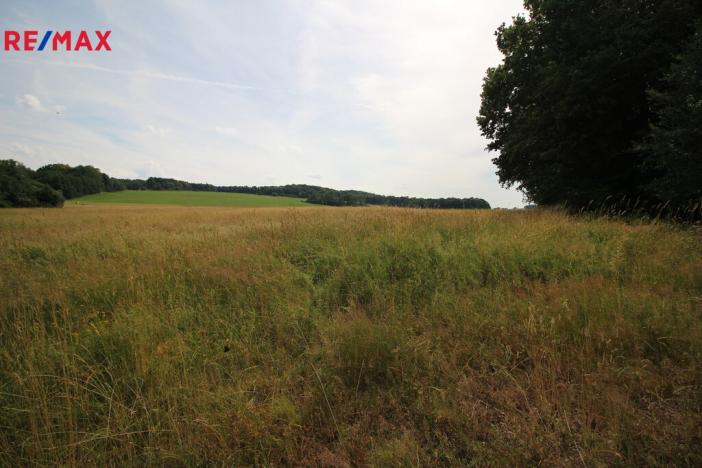 Prodej louky, Frýdlant, 48192 m2