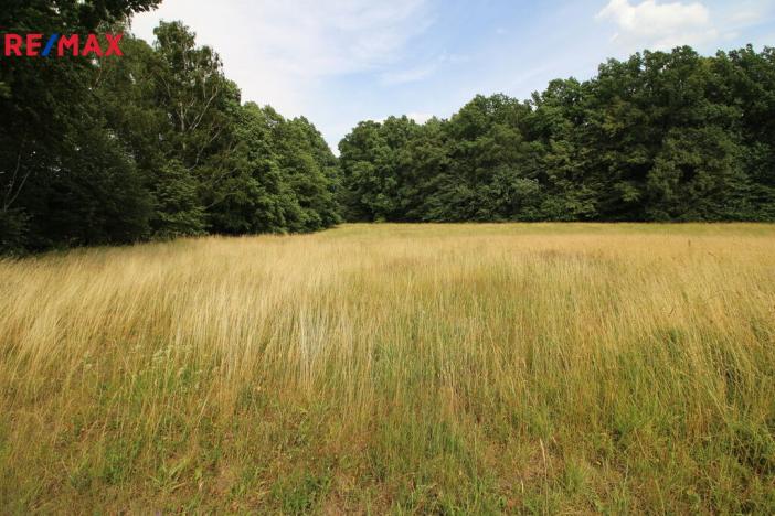 Prodej louky, Frýdlant, 48192 m2