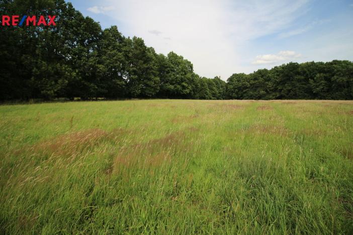 Prodej louky, Frýdlant, 48192 m2