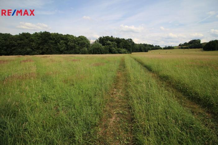 Prodej louky, Frýdlant, 48192 m2