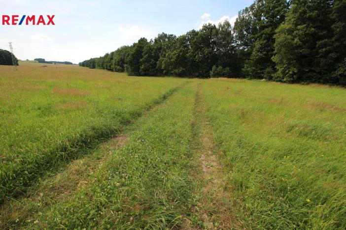 Prodej louky, Frýdlant, 48192 m2