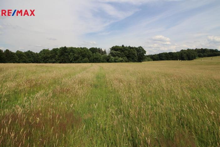 Prodej louky, Frýdlant, 48192 m2