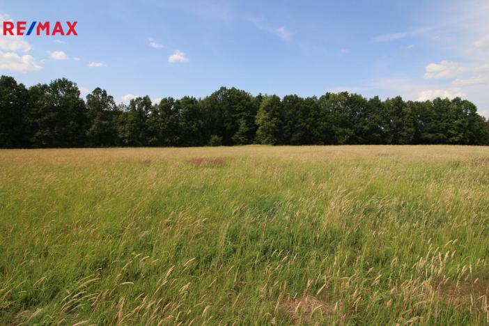 Prodej louky, Frýdlant, 48192 m2