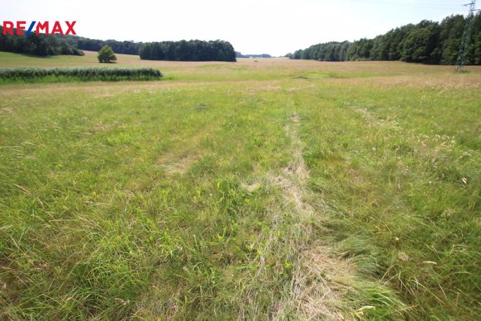 Prodej louky, Frýdlant, 48192 m2