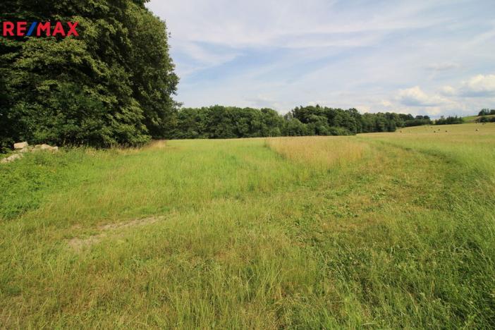 Prodej louky, Frýdlant, 48192 m2