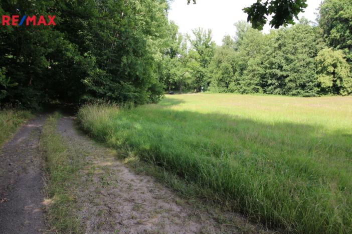 Prodej louky, Frýdlant, 48192 m2