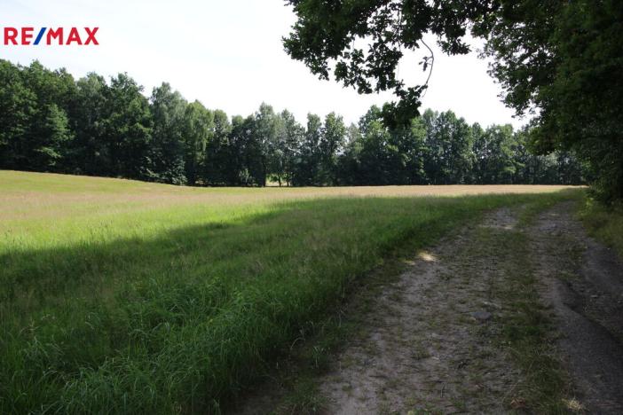 Prodej louky, Frýdlant, 48192 m2