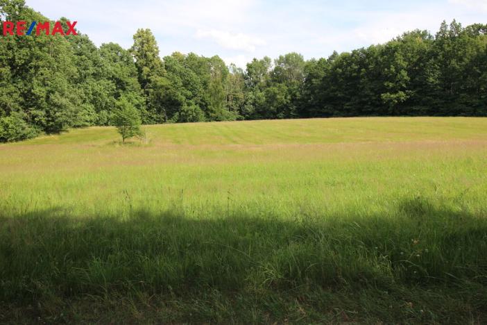 Prodej louky, Frýdlant, 48192 m2