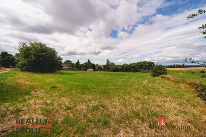 Prodej pozemku pro bydlení, Planá - Týnec, 850 m2