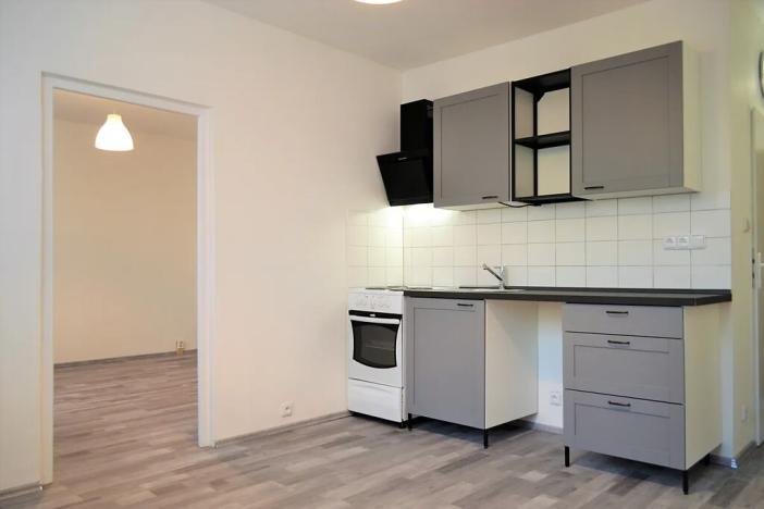 Pronájem bytu 1+1, Roudnice nad Labem, Neklanova, 35 m2