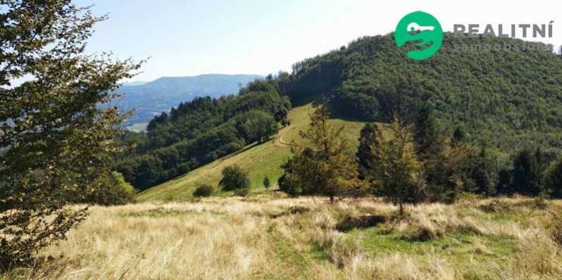 Prodej komerčního pozemku, Košařiska, 4998 m2