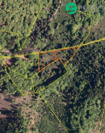 Prodej komerčního pozemku, Košařiska, 4998 m2