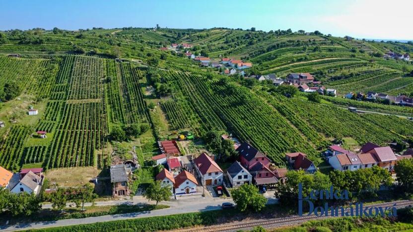 Prodej vinného sklepa, Mutěnice, 210 m2